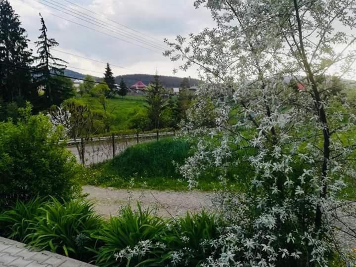 Pensiunea Valurile Bistritei Vatra Dornei Exterior photo